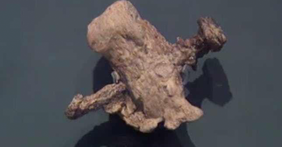Scientific Proof That Jesus Was Crucified Just Got A Whole Lot Stronger