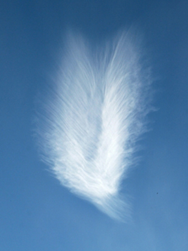 Top 23 Angel Clouds From Around The World