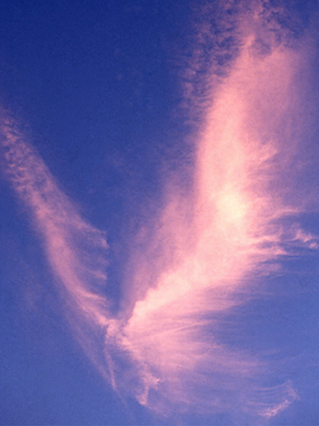 Top 23 Angel Clouds From Around The World