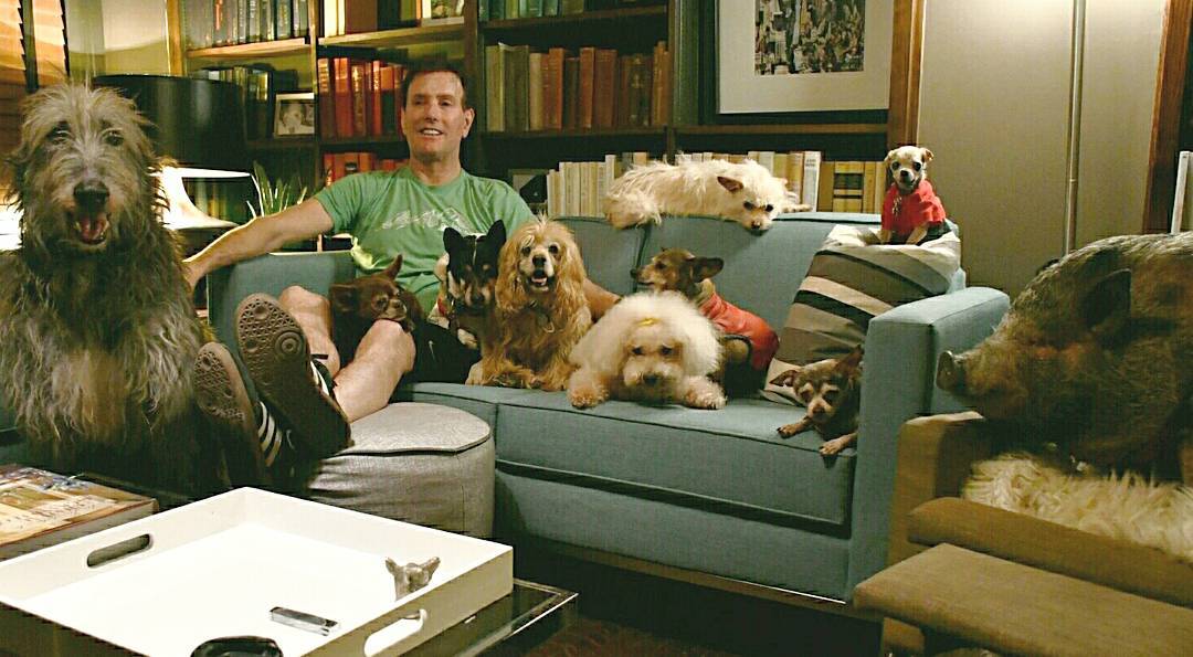 Man Is Heartbroken After Dog Dies, Goes To Shelter & Becomes Addicted To Saving Senior Animals