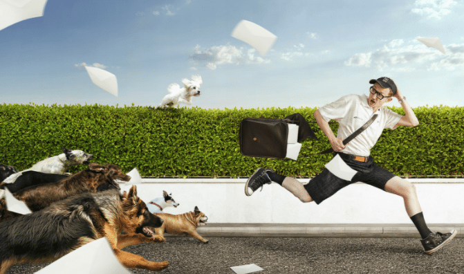 New Study Suggests Anxious People Are More Likely To Be Bitten By Dogs