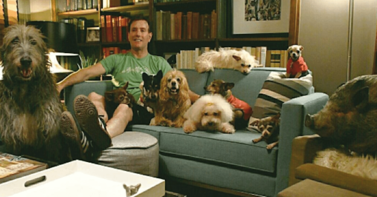 Man Is Heartbroken After Dog Dies, Goes To Shelter & Becomes Addicted To Saving Senior Animals