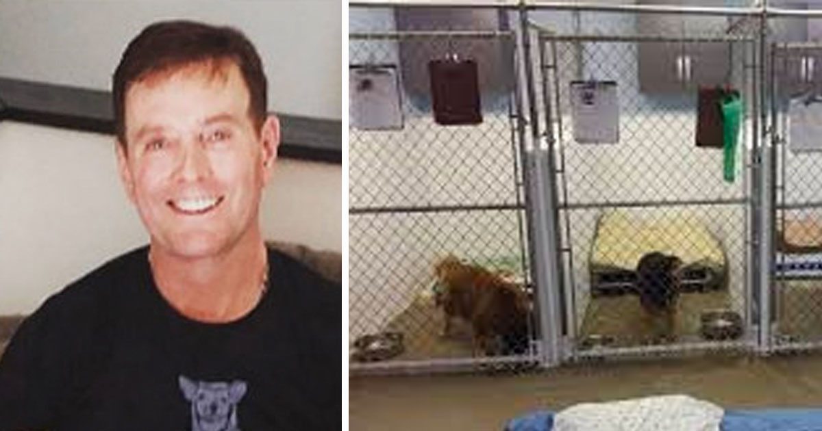 Man Is Heartbroken After Dog Dies, Goes To Shelter & Becomes Addicted To Saving Senior Animals