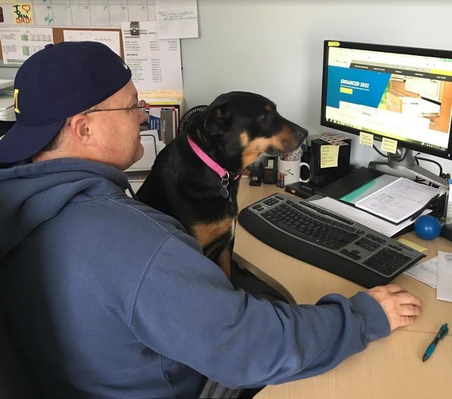 Work-From-Home Dad Gives ‘Best Employee’ Award To His Dog Every Single Quarter