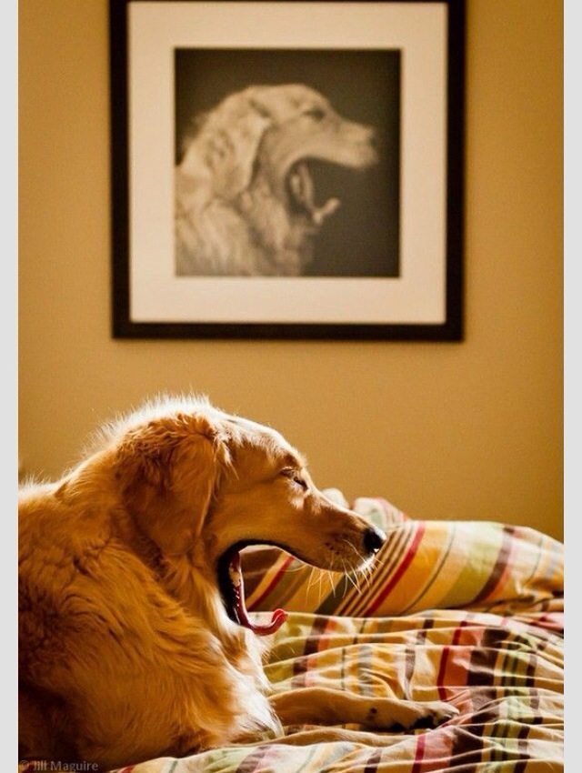 5 Pictures Taken At Exactly The Right Moment