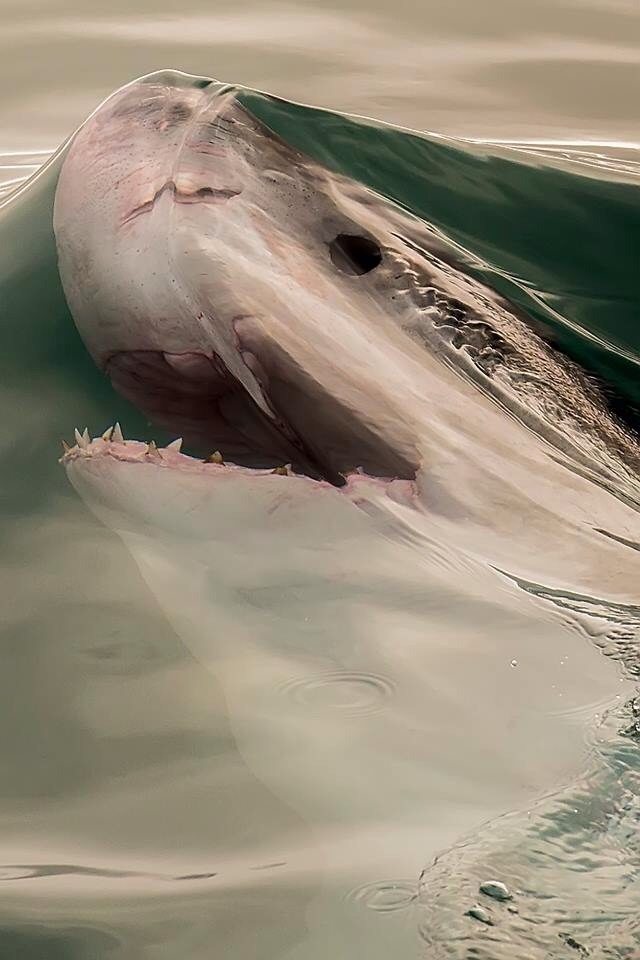 5 Pictures Taken At Exactly The Right Moment