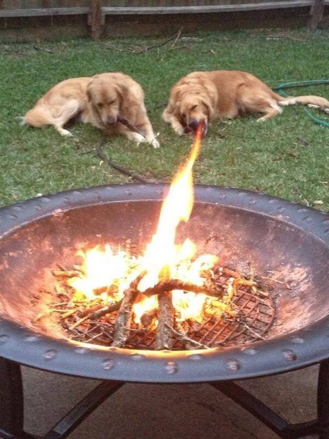 5 Pictures Taken At Exactly The Right Moment