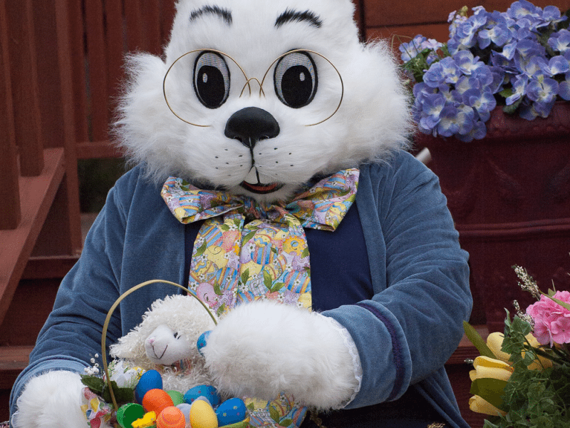 18 Sets Of Twins Show Up At The Mall To Have Photo Taken With Easter Bunny