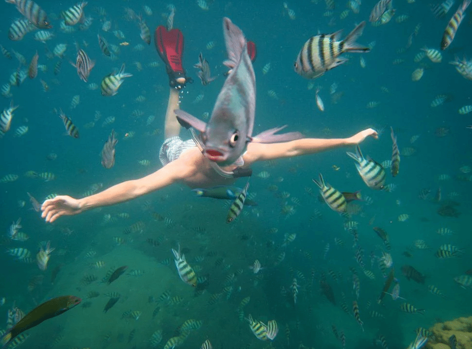 5 Pictures Taken At Exactly The Right Moment