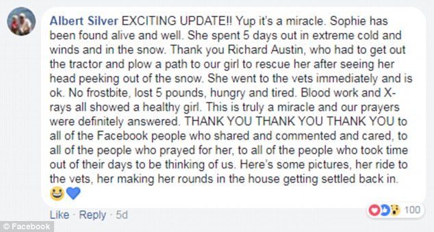 Family Is Heartbroken When 13-Yr-Old Dog Disappears During Blizzard, Then A Miracle Happens