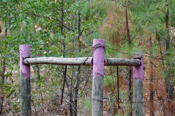 Police Warn: Stay Away From Any Fence Posts Painted Purple