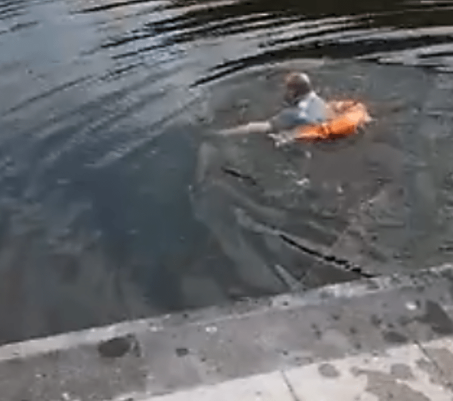Criminals Throw Cat Into Freezing Water, But 1 Hero Refuses To Watch Her Die