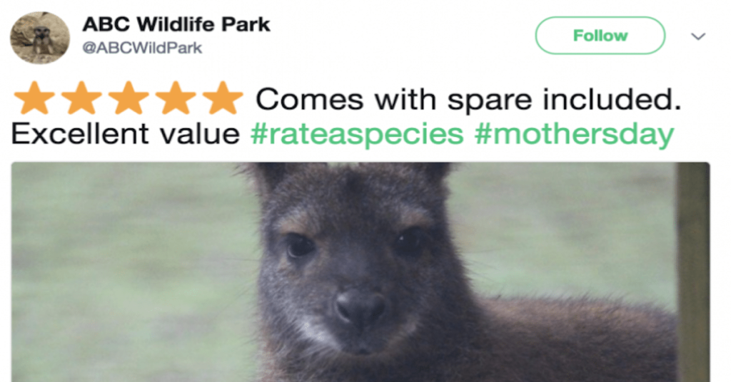 Zoo Posts Amazon-Like Reviews Of Animals & They Are Making Us Cry Laughing!