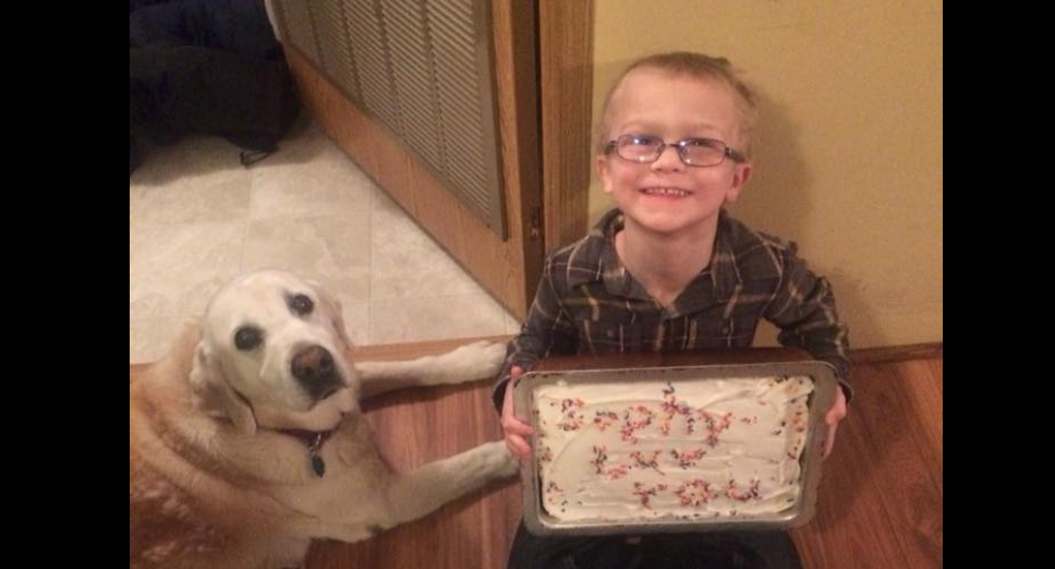 Family Is Heartbroken When 13-Yr-Old Dog Disappears During Blizzard, Then A Miracle Happens