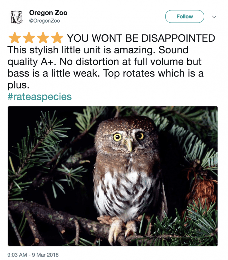 Zoo Posts Amazon-Like Reviews Of Animals & They Are Making Us Cry Laughing!