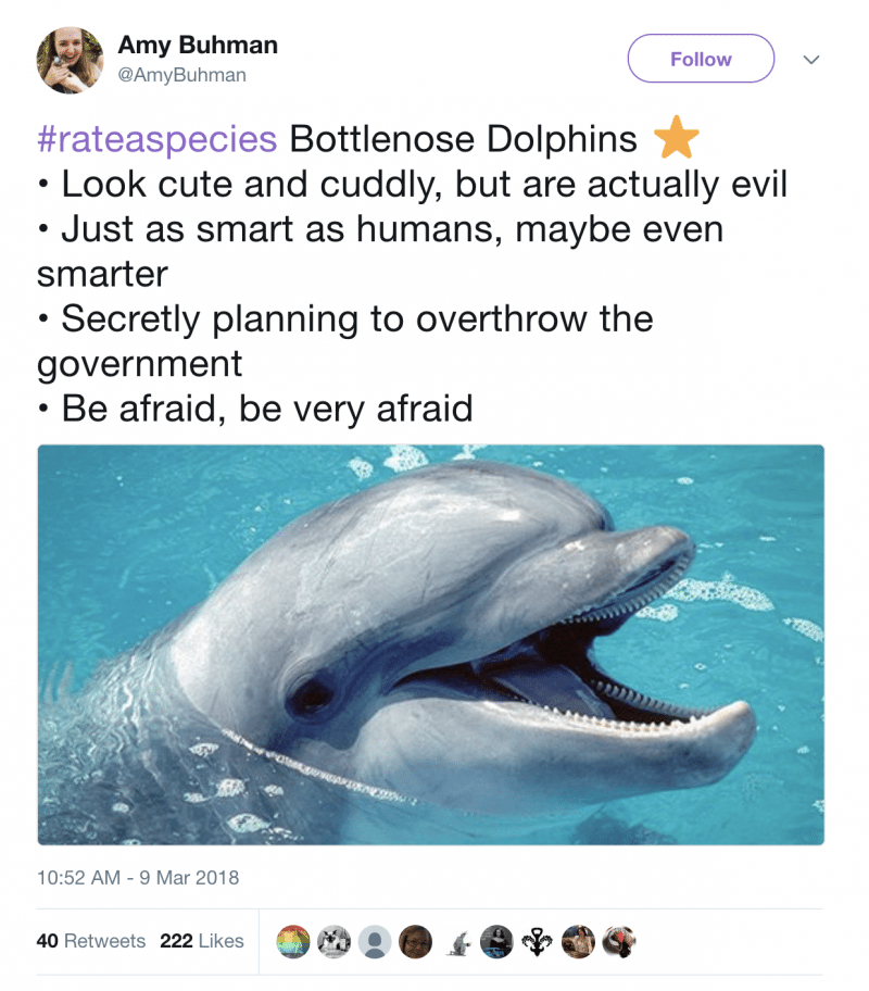 Zoo Posts Amazon-Like Reviews Of Animals & They Are Making Us Cry Laughing!