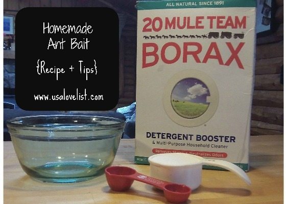 Exterminator Reveals Best Natural Home Remedies To Keep Ants Away