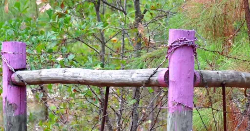 Police Warn: Stay Away From Any Fence Posts Painted Purple