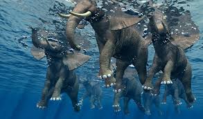 Navy Confused As To What Was In Water – When They Get Closer Look, They All Jump And Rushed Into Action