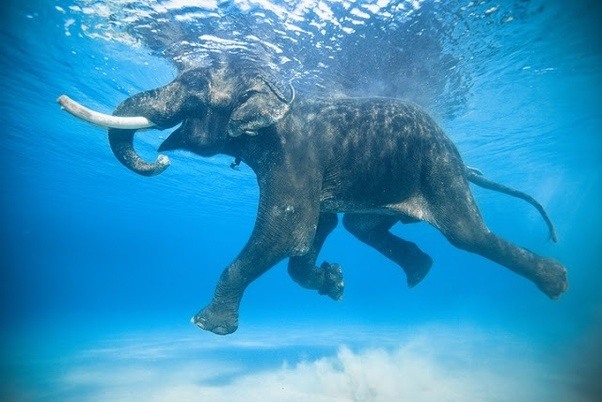 Navy Confused As To What Was In Water – When They Get Closer Look, They All Jump And Rushed Into Action