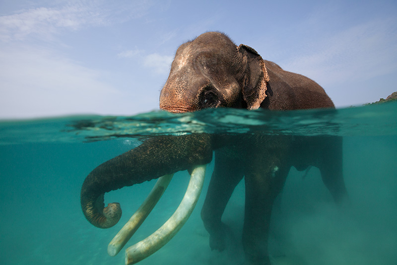 Navy Confused As To What Was In Water – When They Get Closer Look, They All Jump And Rushed Into Action