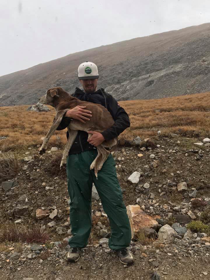 Hikers Rescue Starving Dog Trapped For 6 Weeks On A Mountain