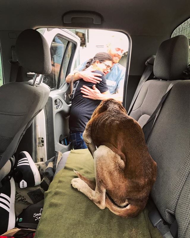 Hikers Rescue Starving Dog Trapped For 6 Weeks On A Mountain