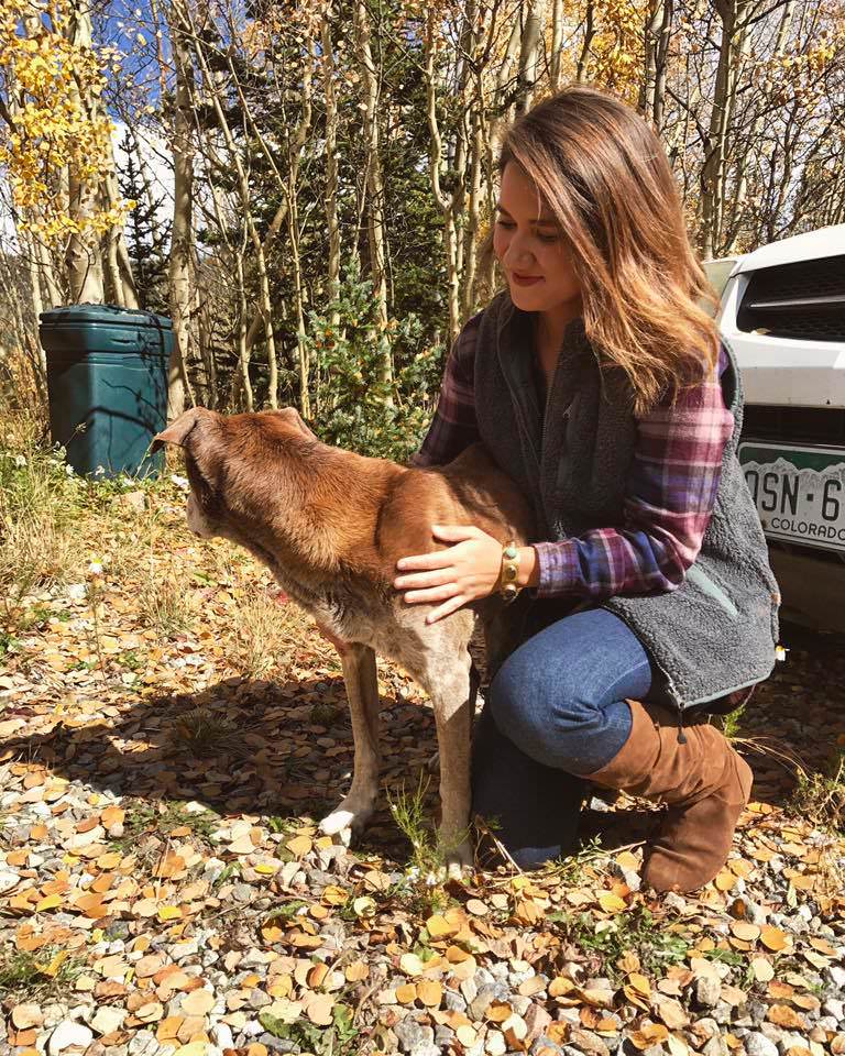 Hikers Rescue Starving Dog Trapped For 6 Weeks On A Mountain