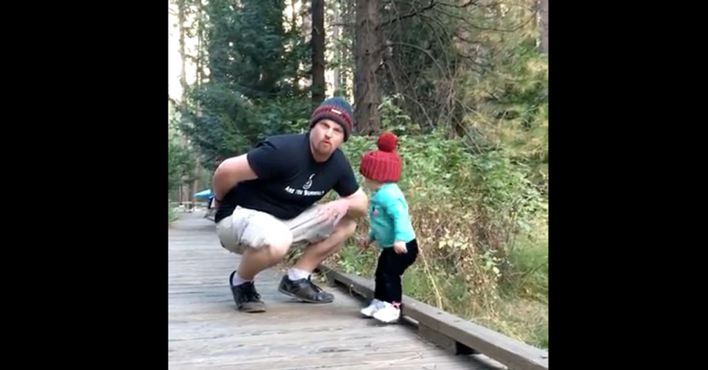 Baby Falls off Bridge at Yosemite National Park but Dad Saves the Day