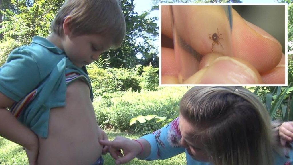 He Was Bitten By A Tick – Then Started Having These Mysterious Symptoms