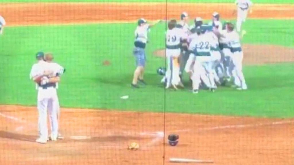 Minnesota Pitcher Hugs Longtime Friend on Baseball Field After Striking Him Out