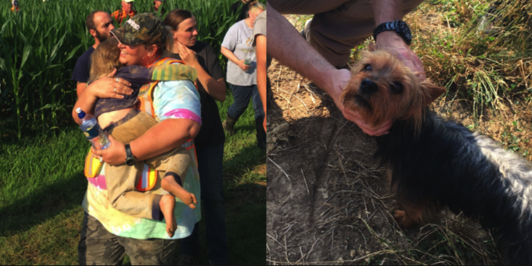 Yorkie Keeps 3-Year-Old Safe After Getting Lost in Missouri Cornfield Overnight