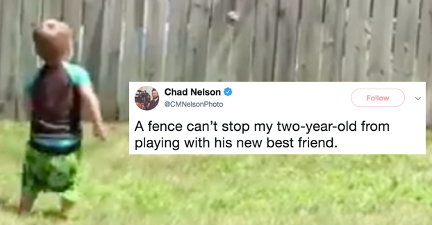Twitter Is Squealing Over This Video Of A Toddler And A Dog Playing Fetch Across A Fence