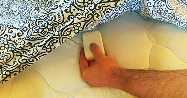 Why You Should Never Forget To Put a Bar of Soap in Every Room