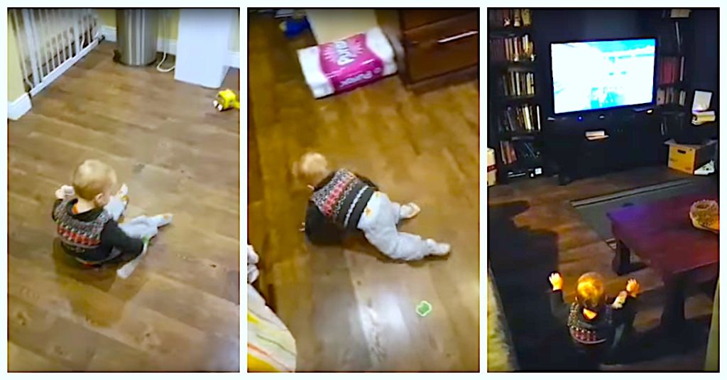 Toddler Is Alex Trebek’s Biggest Fan And Sprint-Crawls To TV When He Hears ‘Jeopardy!’ Song