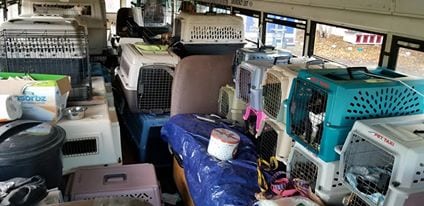 Truck Driver Refuses To Let Animals Drown, Turns Bus Into ‘Noah’s Ark’