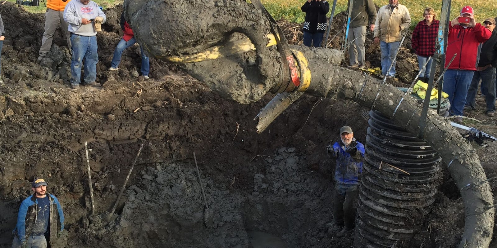 Michigan farmer finds huge fossil in backyard