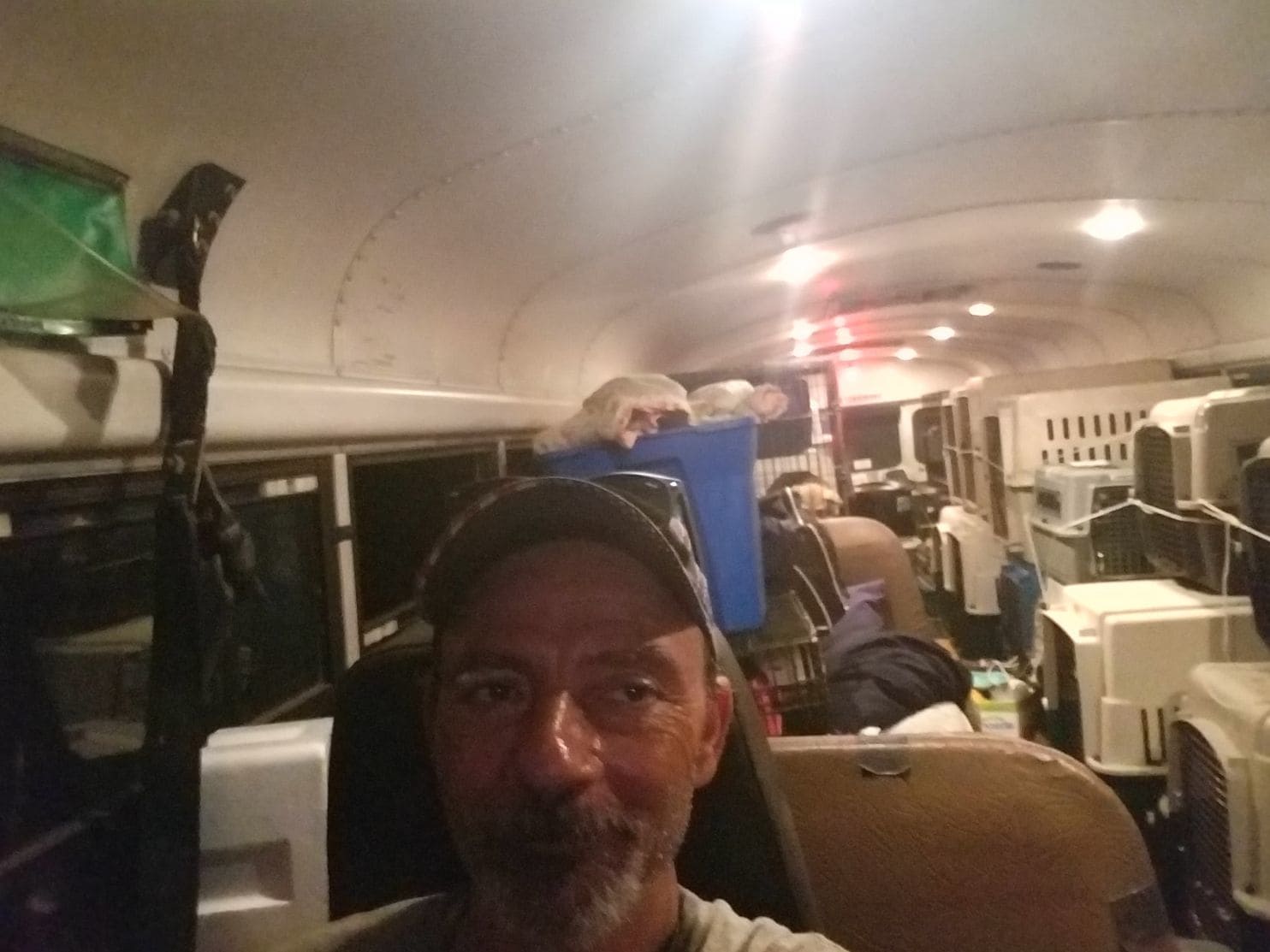 Truck Driver Refuses To Let Animals Drown, Turns Bus Into ‘Noah’s Ark’