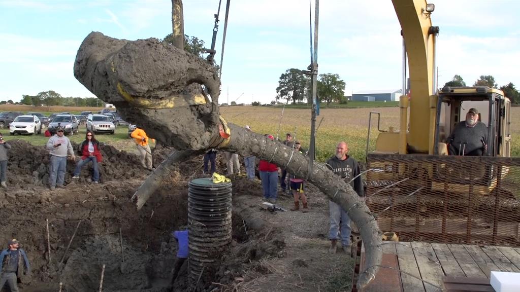 Michigan farmer finds huge fossil in backyard