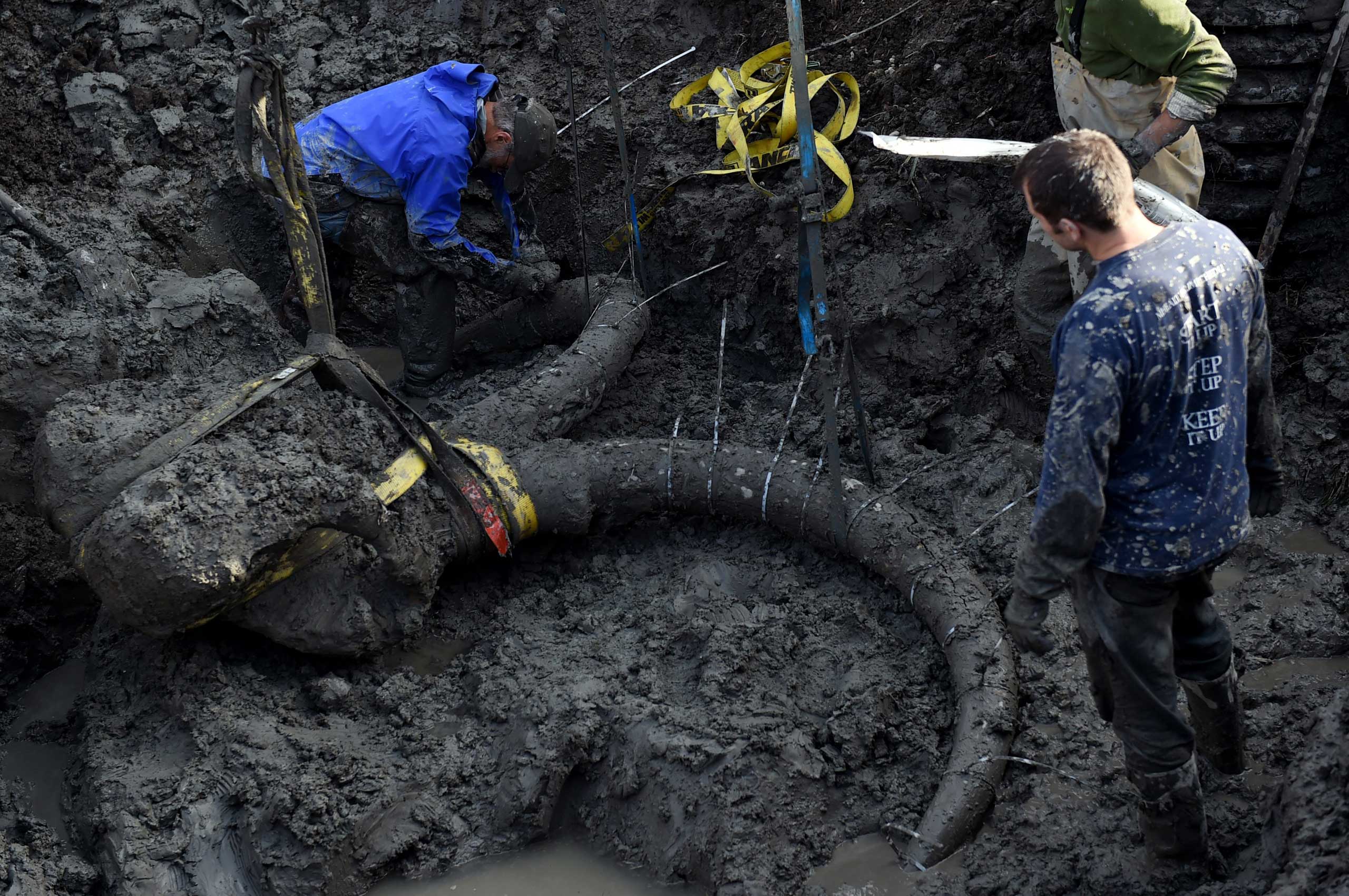 Michigan farmer finds huge fossil in backyard