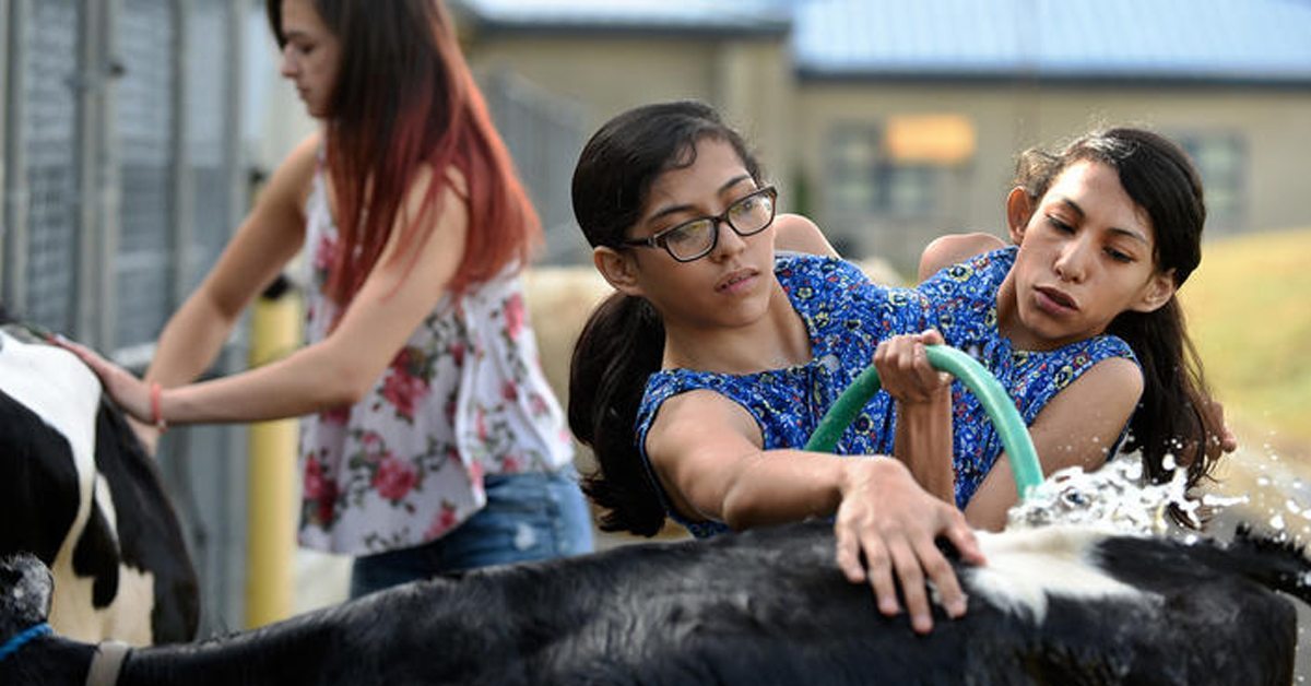 What Conjoined Twins Carmen and Lupita Andrade Look Like Today