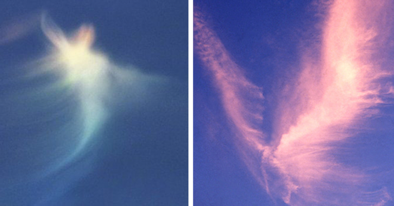 Top 23 Angel Clouds From Around The World